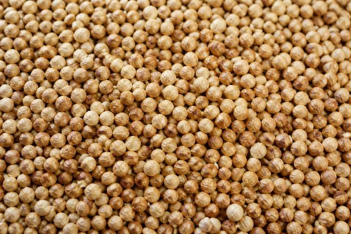 Coriander seeds