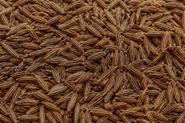 Cumin jeera
