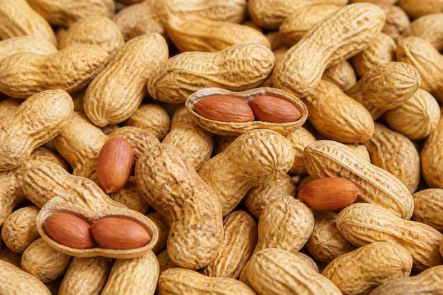 Groundnut and oil seeds