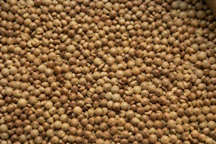 Masoor Dal