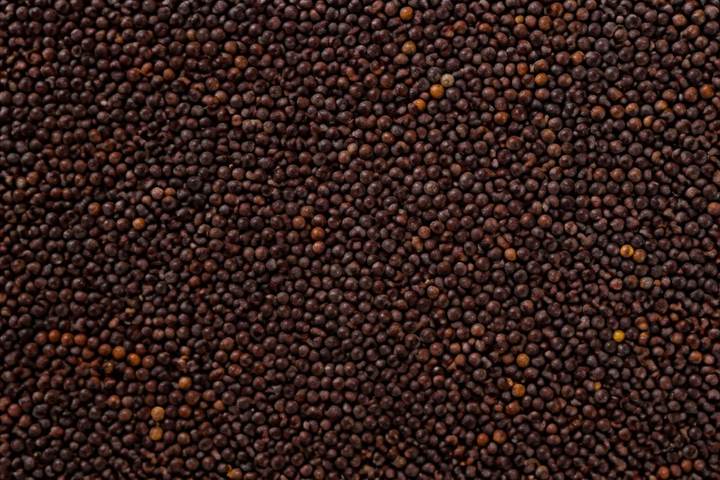Mustard seeds