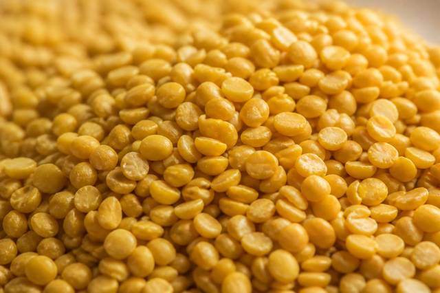 Toor dal and pulses wholesale supply