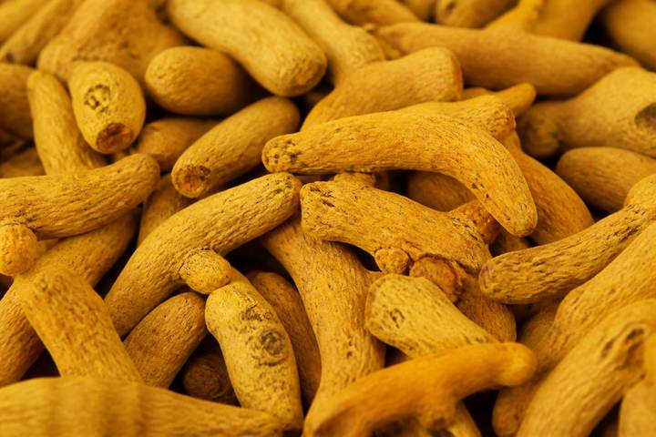 Turmeric finger lots for domestic and export