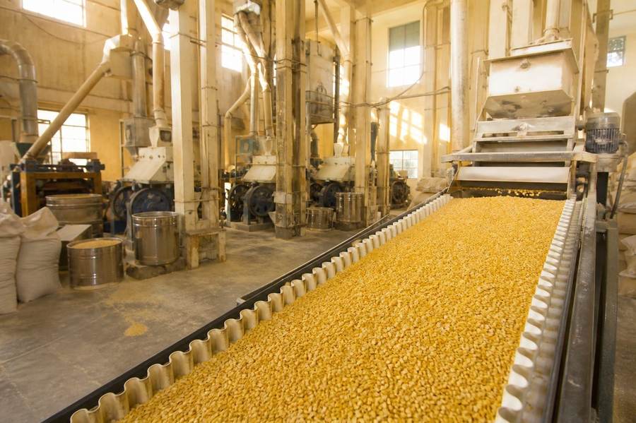 Dal mill processing